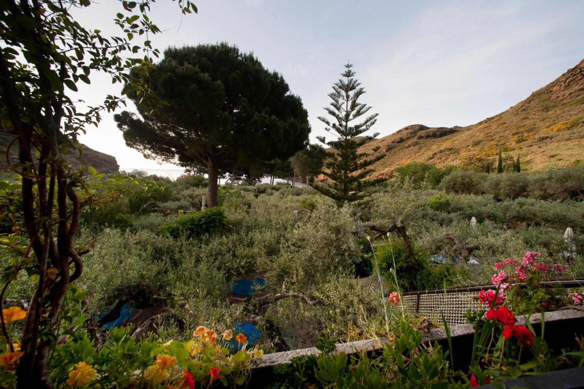 Hotel Cala Joncols 로지즈 외부 사진